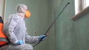 Best Forensic Mold Investigation  in USA